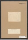Diatomeae indet. Zeichnungen Sammlung Grunow Nr. 3771 (NHMW-BOT-W0371433)